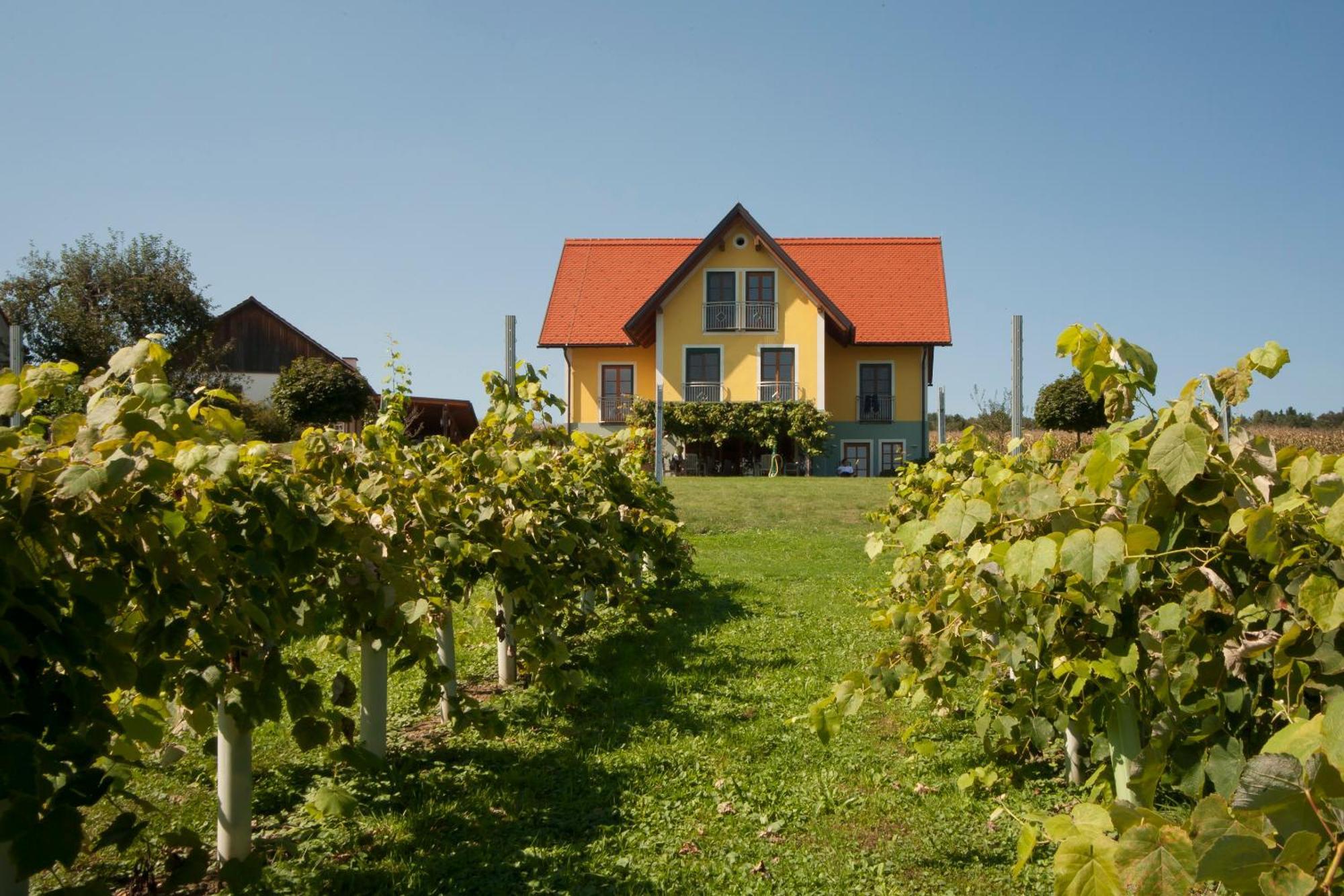 Weingut Winzerhof Gaestezimmer Grebenz Großklein Exterior foto